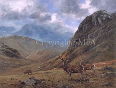 Stag Limited Edition Print 'Guardians of the Glen' by John Trickett