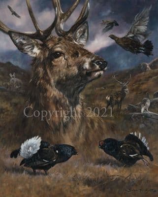 Stag Limited Edition Print 'Highland Medley' by John Trickett