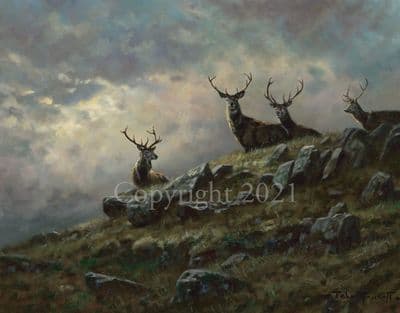 Stag Limited Edition Print 'Hillside Watch' by John Trickett