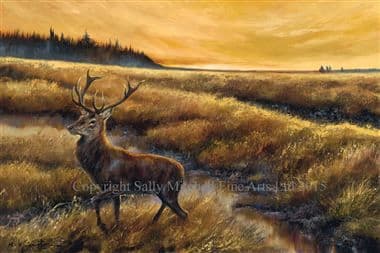 Stag  Limited Edition Print 'Stag Hunting' by Mick Cawston