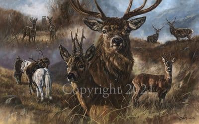 Stag Limited Edition Print 'Stalking Days' by John Trickett