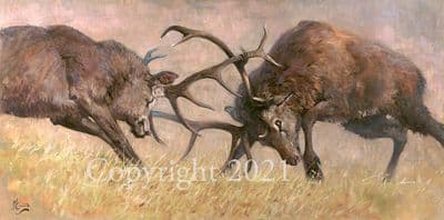 Stag Limited Edition Print 'The Rut' by Malcolm Coward