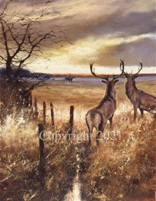 Stag Open Edition Print 'The Onlookers' by Mick Cawston