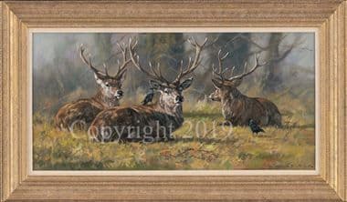 Stag Original Oil Painting  'At Rest' by John Trickett