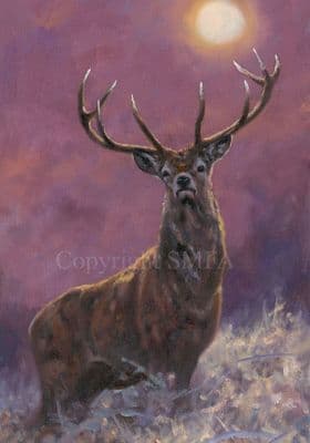 Stage Blank Greetings Card 'The Night Watchman' by John Trickett C669