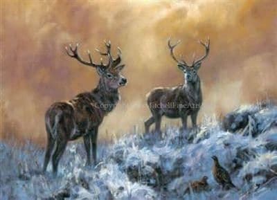 Stags and Grouse in Snow Christmas Cards 'Winter Royalty' by John Trickett C512X
