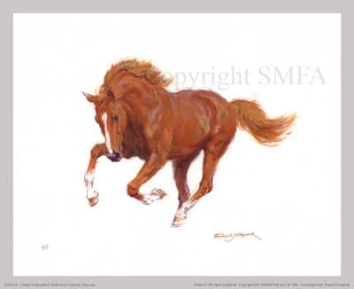 Study in Movement Stallion