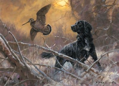 Sunset Flush' Cocker Spaniel print by John Trickett