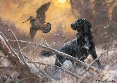 Sunset Flush' Pack of 10 Cocker Spaniel Christmas Cards by John Trickett