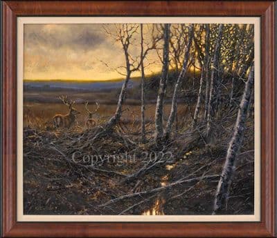 Sunset Stags' Original Oil Painting by Mick Cawston
