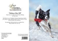 Taking a Day Off'  Pack of Ten Border Collie Christmas Cards by Paul Doyle