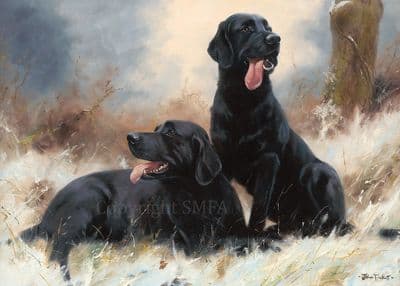 Taking a Moment' Black Labrador Christmas Cards by John Trickett C720x