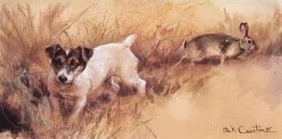 Terrier Blank Greetings Card 