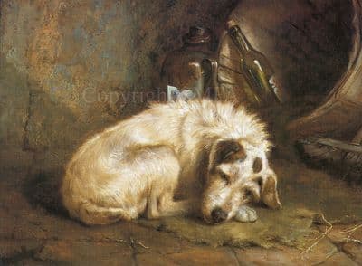 Terrier Card 'Veteran on The Retired List'