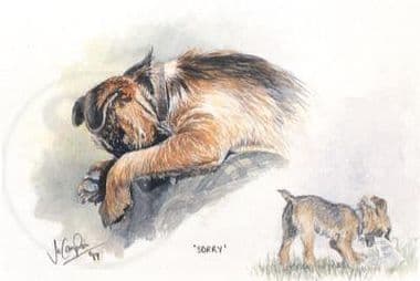 Terrier Limited Edition Print 'Sorry' by Jo Campin