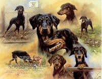 The Published Works of Mick Cawston Volume 1 Mick Cawston Book 17