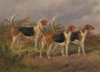 The Rufford Hounds after an original painting by James WAlsham Baldock 1822--1898