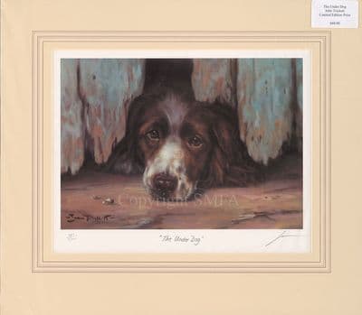 The Underdog Ex-Display Mounted Springer Spaniel Print by John Trickett
