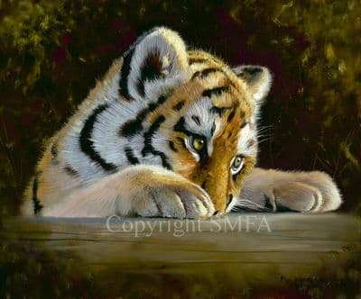 Tiger Cub Limited Edition Print 'Tiger Cub' by Pip McGarry