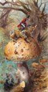 Toad Humorous Limited Print 'The Quiet Place' by Jonathan Walker