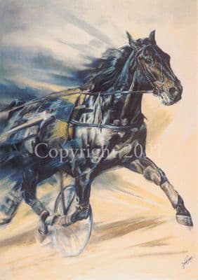 Trotting Harness Racing Blank Greetings Card 'The Trotter' by Janet Payne C126