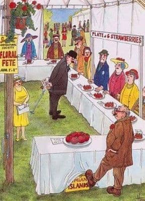 Village Show Blank Greetings Card 'Prize Strawberries' by Christopher Hope THB003