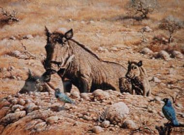 Warthog Limited Edition Print 'Hey Ma Who Are The Dudes?' by Michael Kitchen-Hurle