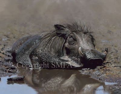 Warthog Limited Edition Print 'Hog in Heaven' by Pip McGarry