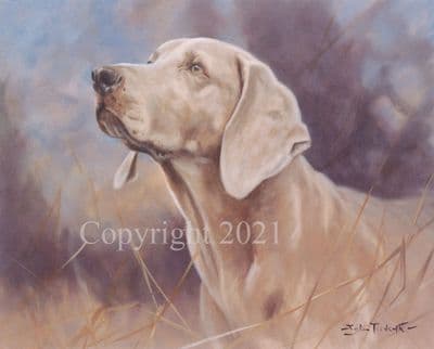 Weimaraner Limited Edition Print 'On Call' by John Trickett