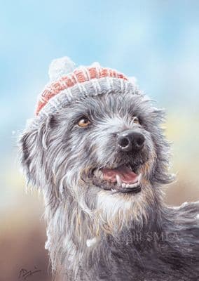 Well?' Deerhound / Lurcher Blank Greetings Card by Paul Doyle