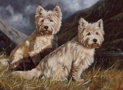 West Highland Terrier Blank Greetings Card 'Highlanders'  by John Trickett C261