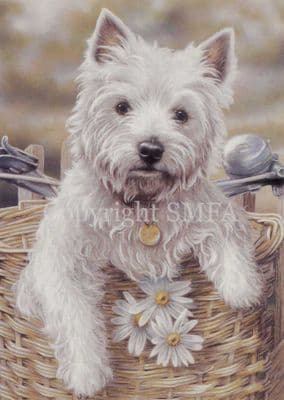 West Highland Terrier Blank Greetings Card Hitching a Ride by Paul Doyle  C101
