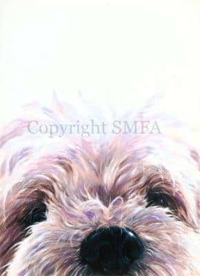 West Highland Terrier Blank Greetings Card 'Westie Head' by Paul Doyle C289