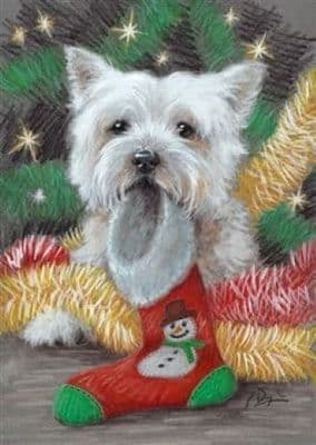 West Highland Terrier Christmas Cards 'Great Expectations' by Paul Doyle C502X