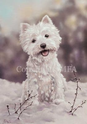 West Highland Terrier Christmas Cards 'The Snowman' by Paul Doyle C390X
