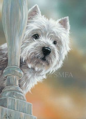 West Highland Terrier Limited Edition Print 'Highland Bedtime' by Paul Doyle
