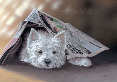 West Highland Terrier Limited Edition Print 'Highland News' by Paul Doyle