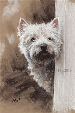 West Highland Terrier Limited Edition Print 'Looking For Me?' by Paul Doyle
