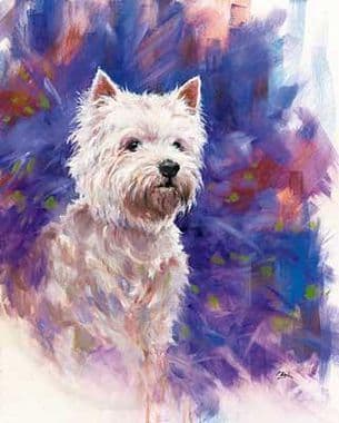 West Highland Terrier Limited Edition Print Westie by Paul Doyle