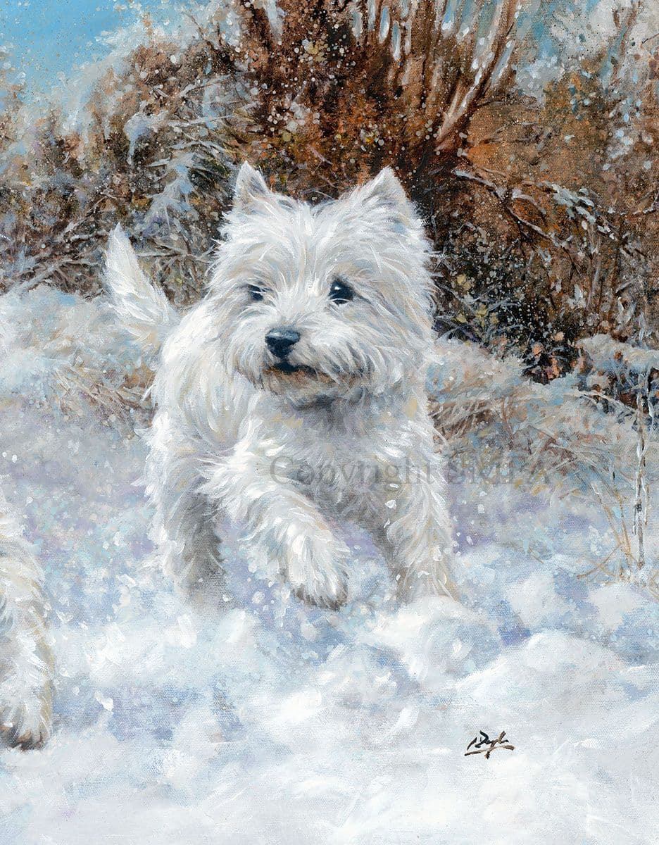 West Highland Terrier Limted Edition Print Winter Westies by Paul