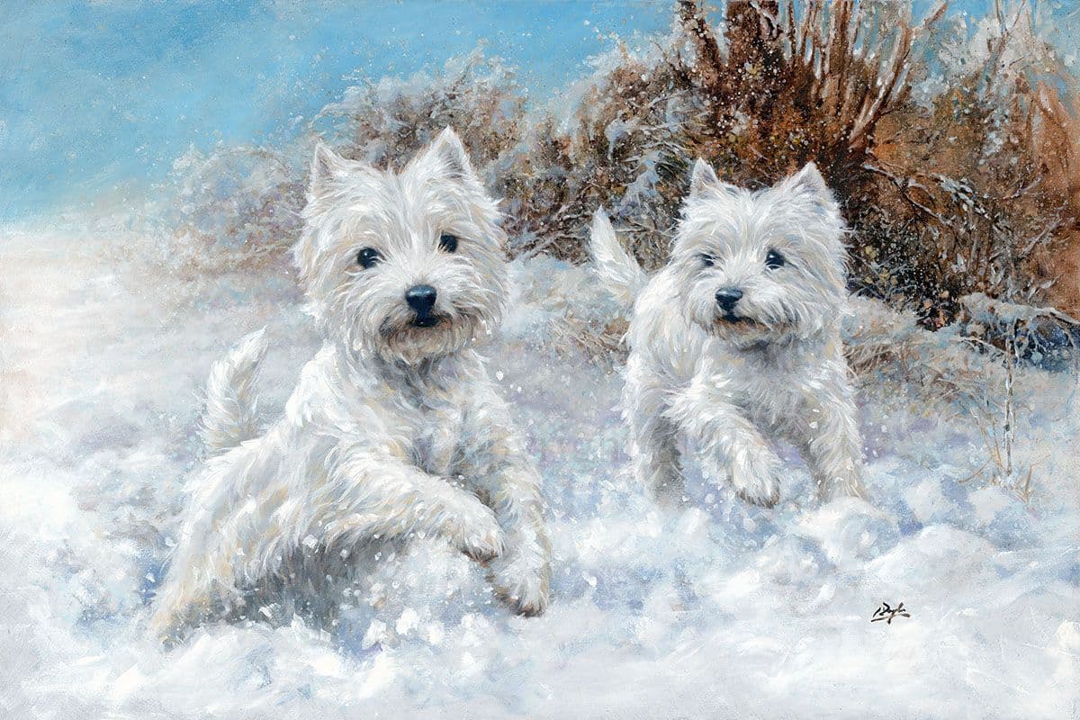 West Highland Terrier Limted Edition Print Winter Westies by Paul