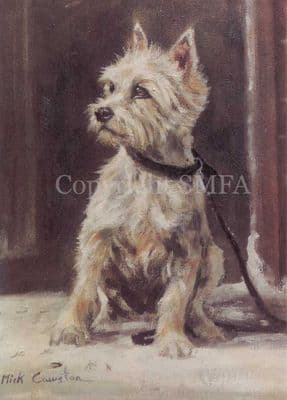 West Highland Terrier  Westie Blank Greetings Card 'The Westie' by Mick Cawston B104