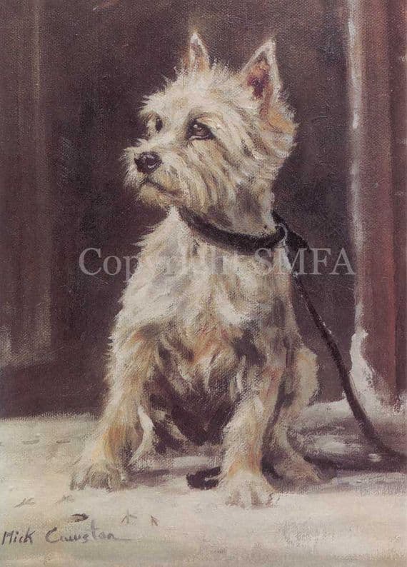 West Highland Terrier  Westie Blank Greetings Card 'The Westie' by Mick Cawston B104
