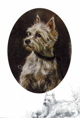 West Highland Terrier  Westie Blank Greetings Card 'Westie' by Mick Cawston CE1