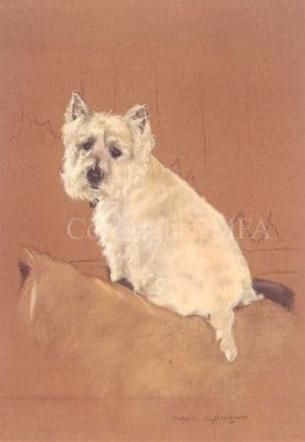 West Highland Terrier Westie Limited Edition Print 'Back Seat Driver' by Debbie Gillingham