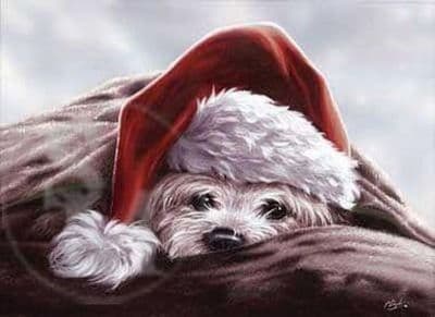 West Highland White Terrier Christmas Cards 'Happy Westmas' by Paul Doyle C331X
