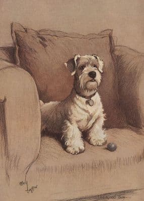Westie Blank Greetings Card 'Good Boy' by Cecil Aldin C336