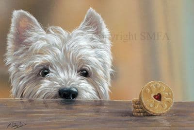 Westie Blank Greetings Card 'Sweet Temptation' by Paul Doyle C678