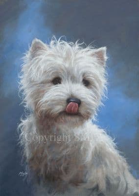 Westie Limited Edition Print 'After Dinner' by Paul Doyle