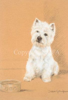 Westie Limited Edition Print 'Suppertime' by Debbie Gillingham